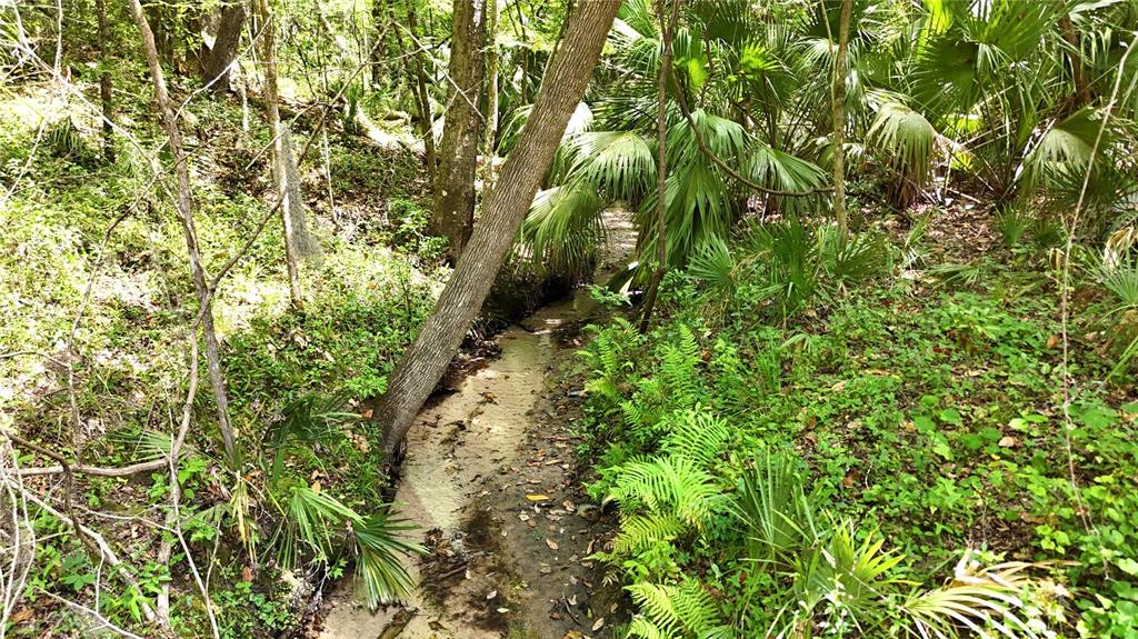 12100 Northwest US Highway 441 Alachua, FL 32615 - Photo 22 of 34