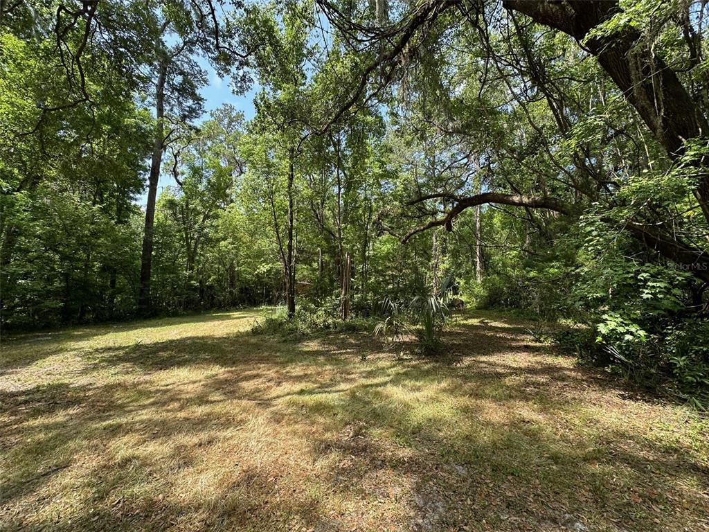 12100 Northwest US Highway 441 Alachua, FL 32615 - Photo 24 of 34 a view of a yard with a tree