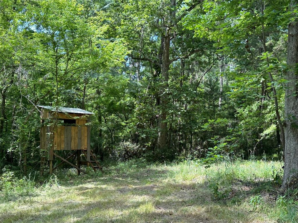 12100 Northwest US Highway 441 Alachua, FL 32615 - Photo 26 of 34 a backyard of a house with a yard and outdoor seating