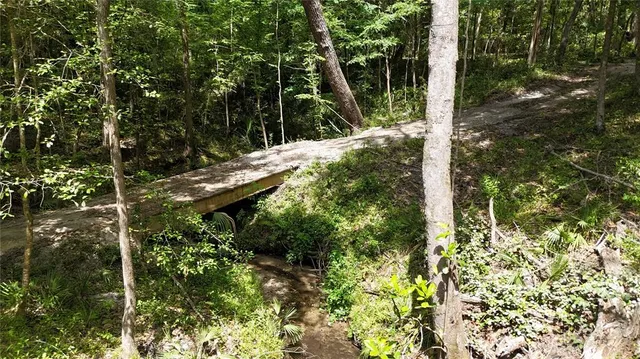 a view of a tree with a yard