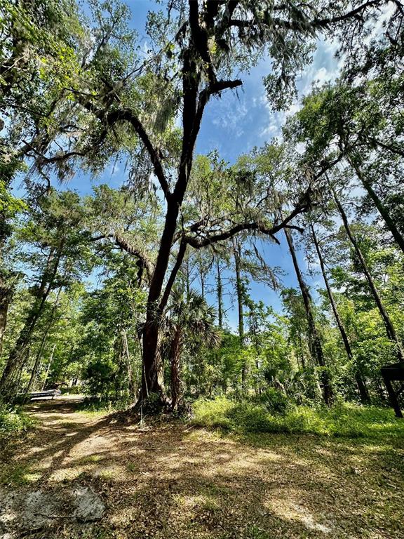 12100 Northwest US Highway 441 Alachua, FL 32615 - Photo 28 of 34 a backyard of a house with lots of green space