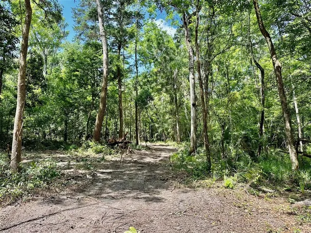 a view of outdoor space and trees