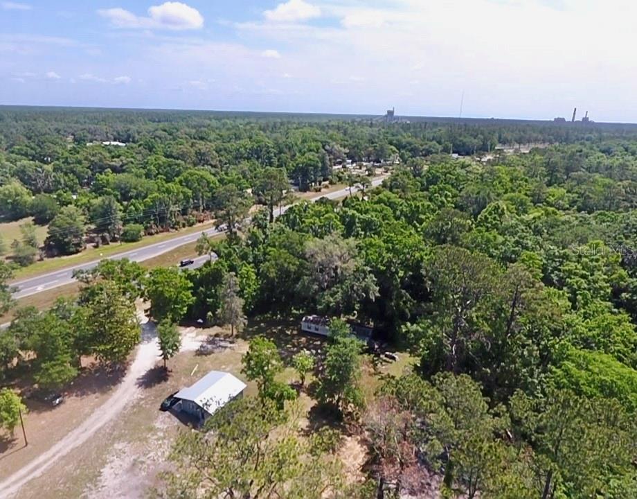 12100 Northwest US Highway 441 Alachua, FL 32615 - Photo 9 of 34 a view of a forest with a yard