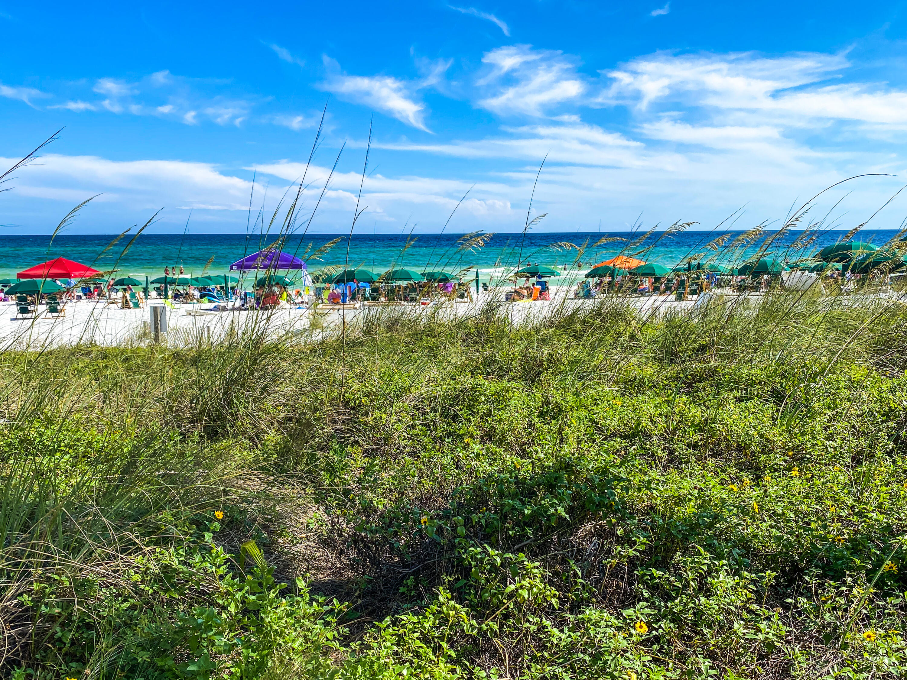 1110 Santa Rosa Boulevard, Unit C501 Fort Walton Beach, FL 32548 - Photo 101 of 112 WSC beachfront grass 6.25.20