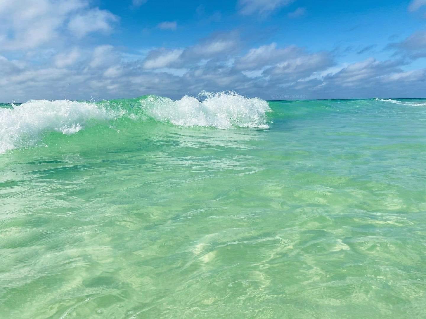 1110 Santa Rosa Boulevard, Unit C501 Fort Walton Beach, FL 32548 - Photo 108 of 112 GulfWaters fresh