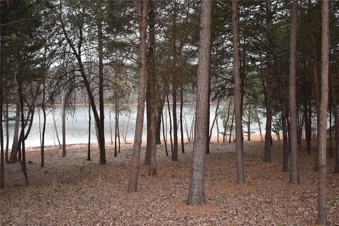 325 Tarleton Road, Unit LOT B Anderson, SC 29626 - Photo 3 of 3