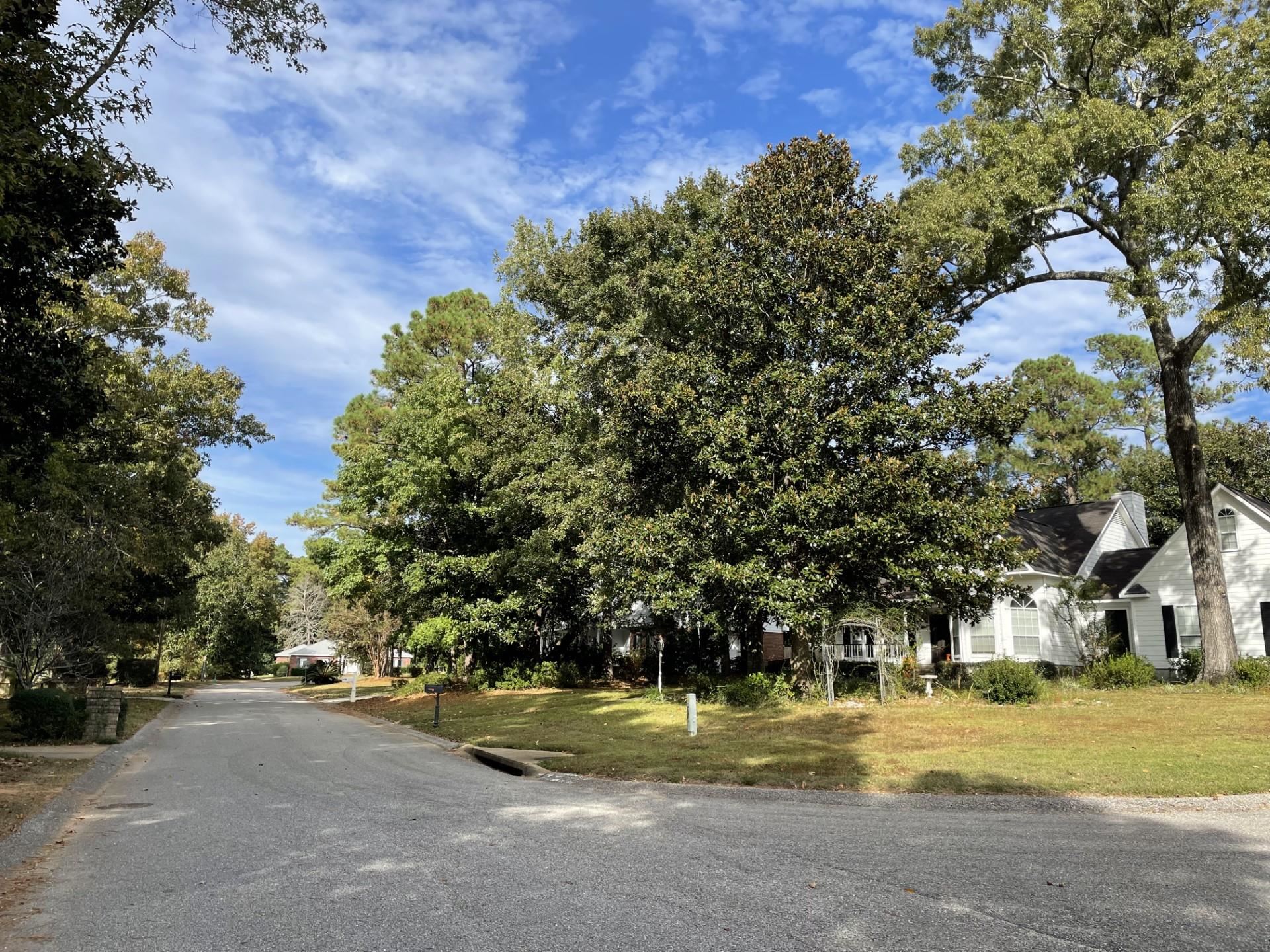 0 Signal Hill Road Daphne, AL 36527 - Photo 4 of 4