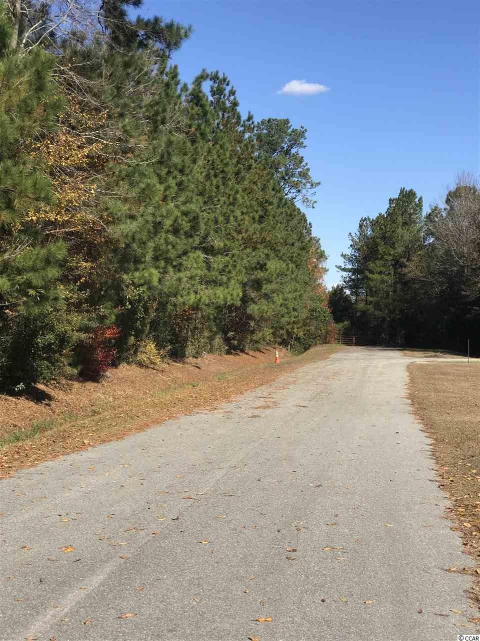 Longleaf Drive Loris, SC 29569 - Photo 3 of 3 Gallery Image 3