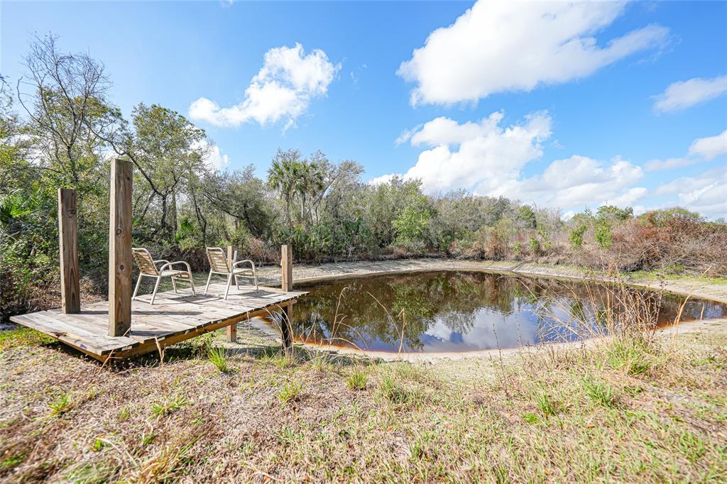 9796 Southwest Southern Dreams Road Arcadia, FL 34269 - Photo 51 of 72 a view of a swimming pool with a yard