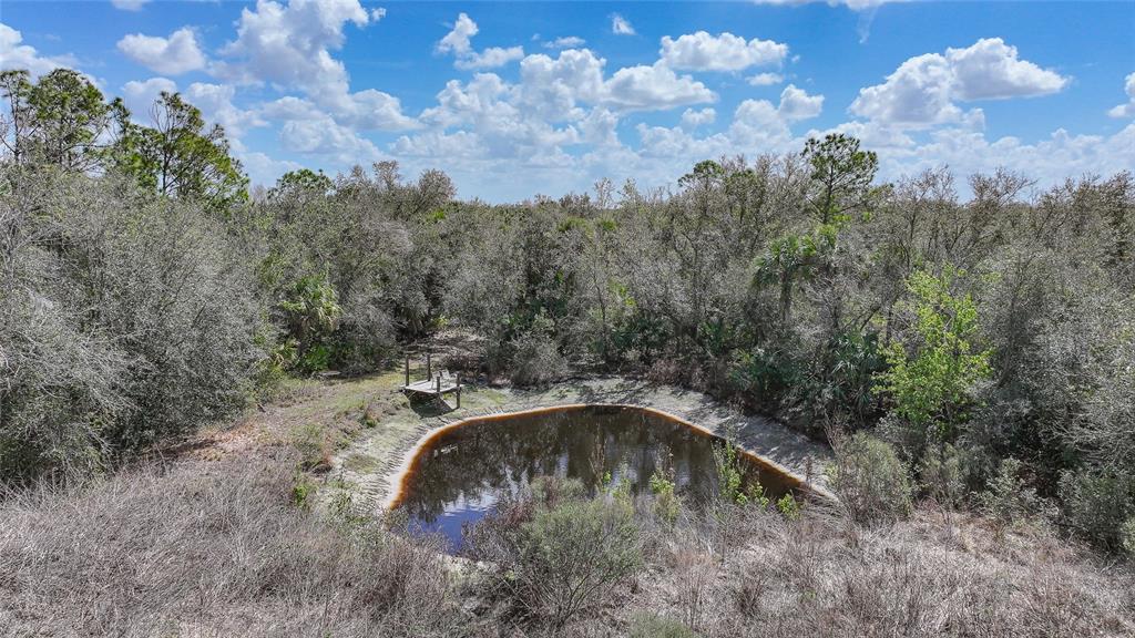 9796 Southwest Southern Dreams Road Arcadia, FL 34269 - Photo 61 of 72 a backyard of a house with lots of green space