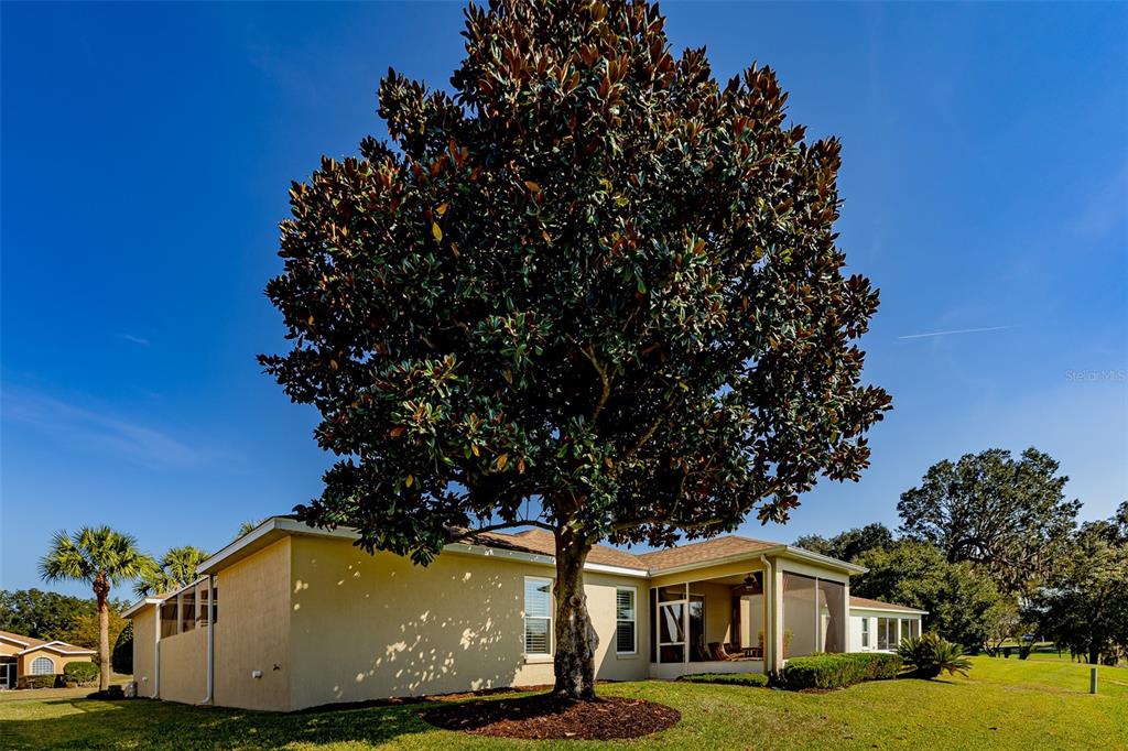 1250 Southwest 152nd Lane Ocala, FL 34473 - Photo 72 of 88