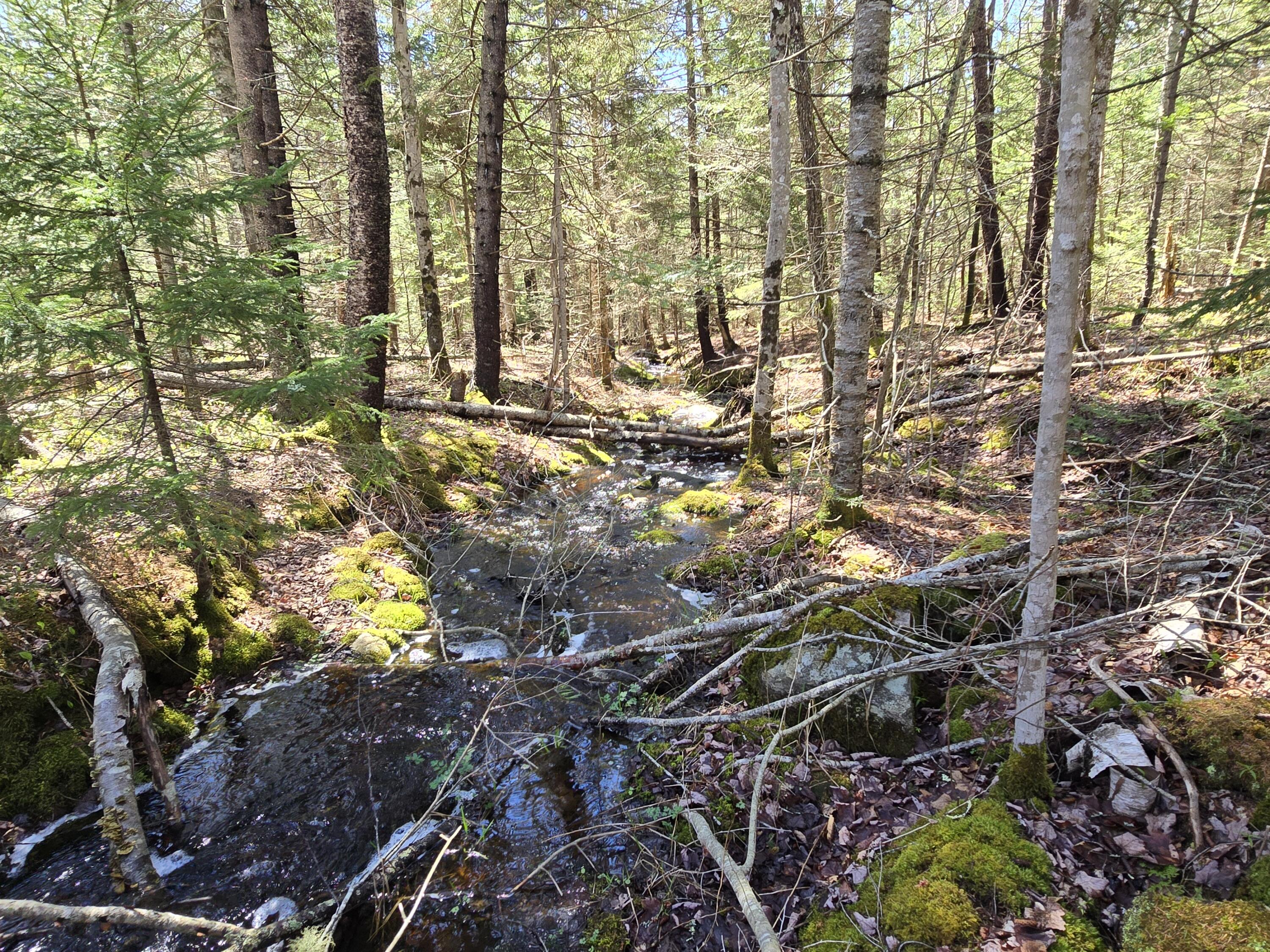 Lot #4 Turkey Cove Road Tenants Harbor, ME 04860 - Photo 3 of 3 20260507_112327