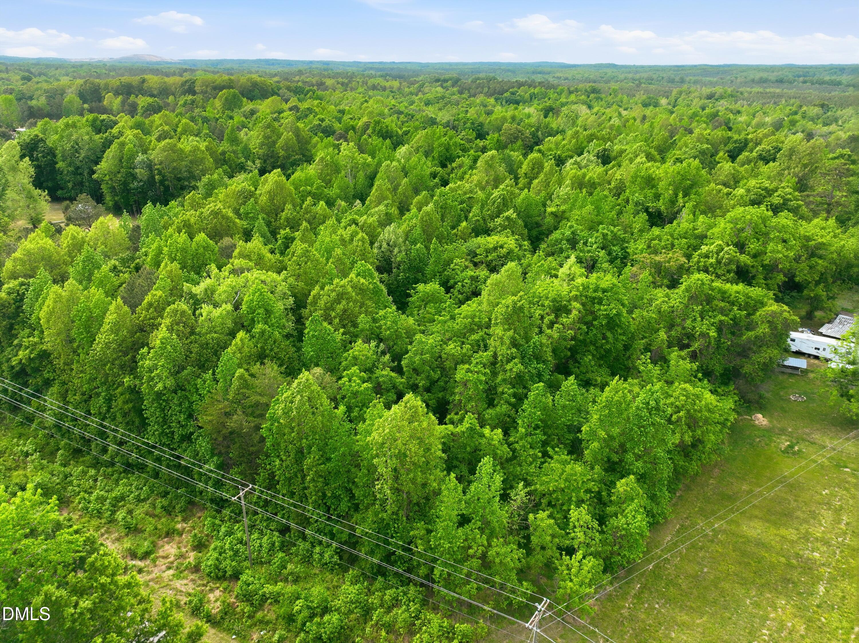 0 George Sherman Road Rougemont, NC 27572 - Photo 13 of 14 a view of a lush green field