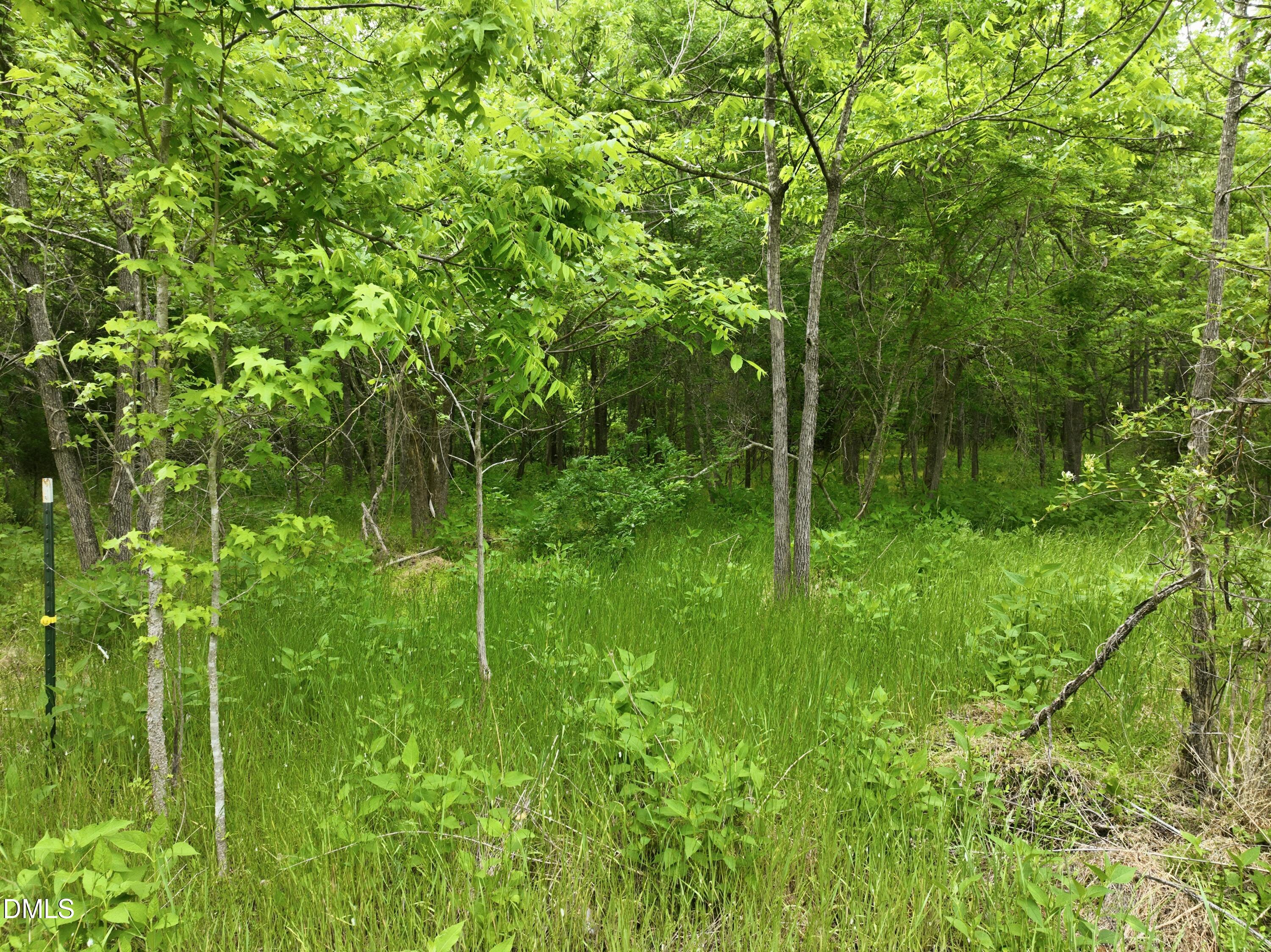 0 George Sherman Road Rougemont, NC 27572 - Photo 14 of 14 a view of a garden