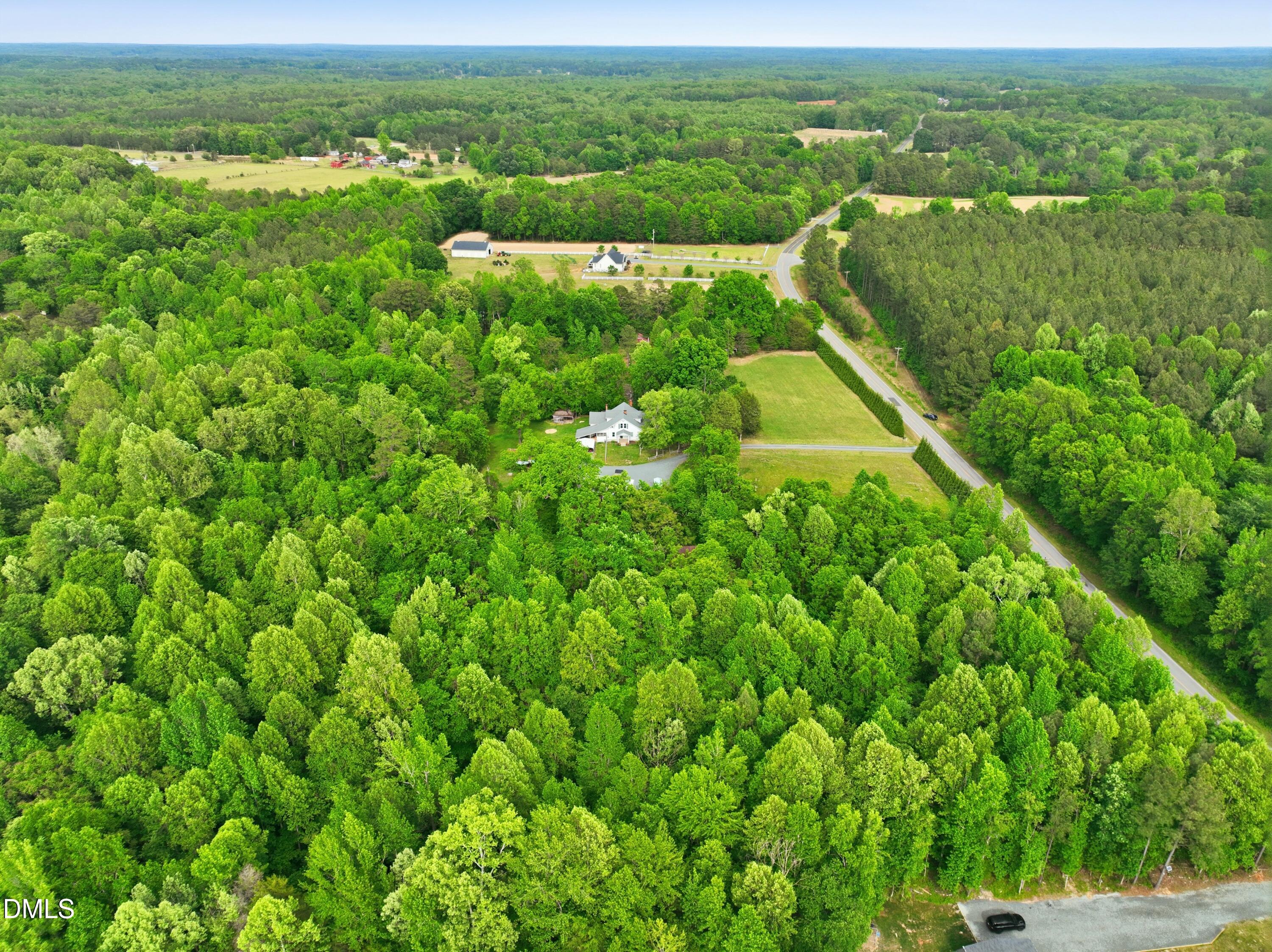 0 George Sherman Road Rougemont, NC 27572 - Photo 4 of 14 a view of a lush green forest with lots of trees