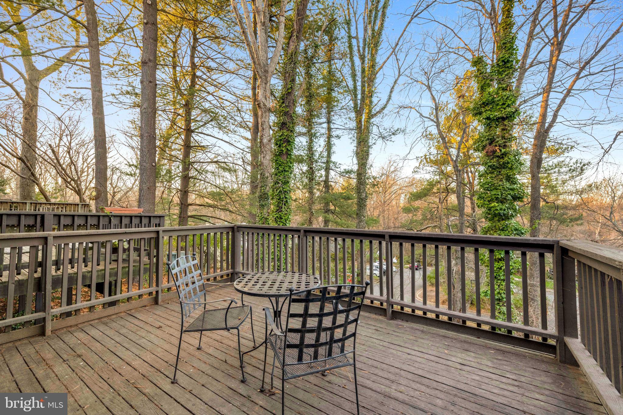 1518 Scandia Circle Reston, VA 20190 - Photo 19 of 40