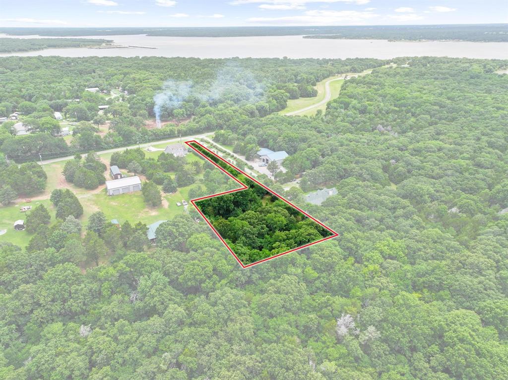 207 Paradise Park Road Pottsboro, TX 75076 - Photo 23 of 28 Expansive wooded parcel featuring mature trees, a defined property boundary, and proximity to a large body of water