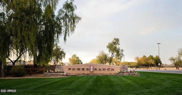 a view of a park with large trees
