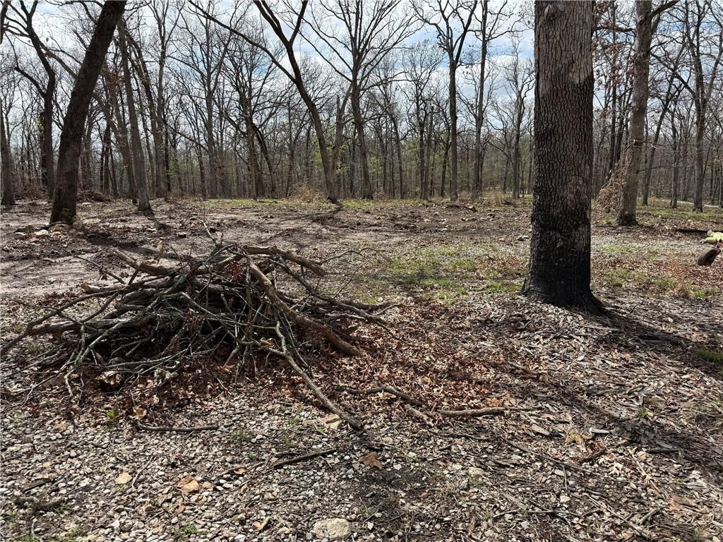 991 Southeast 976 Road Deepwater, MO 64740 - Photo 45 of 79