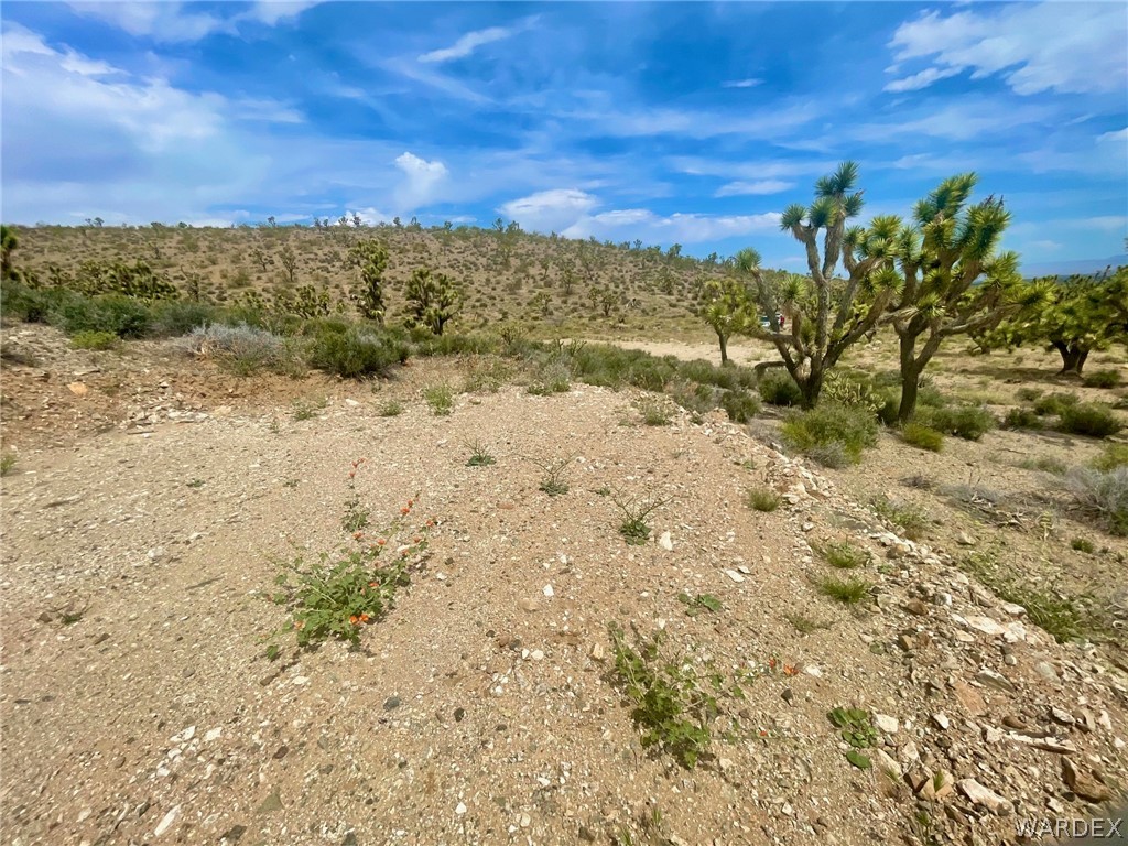 336-05-033 Smith Road Meadview, AZ 86444 - Photo 14 of 36 a view of a yard with a mountain