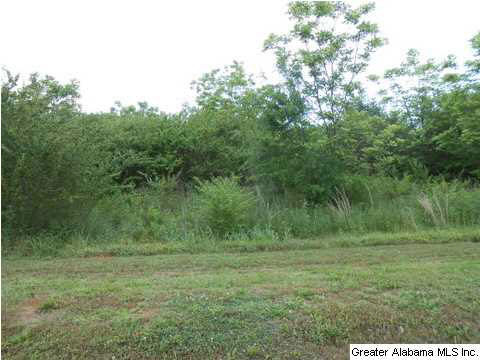 Black Road, Unit 10 Blountsville, AL 35031 - Photo 2 of 3