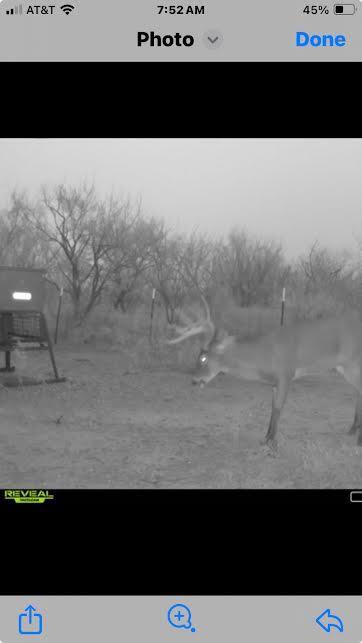 92 Texas Hamlin, TX 79520 - Photo 23 of 65 11-23-25