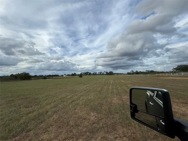 a view of a big yard with big trees