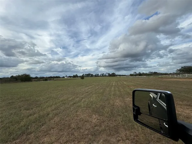 a view of a big yard with big trees