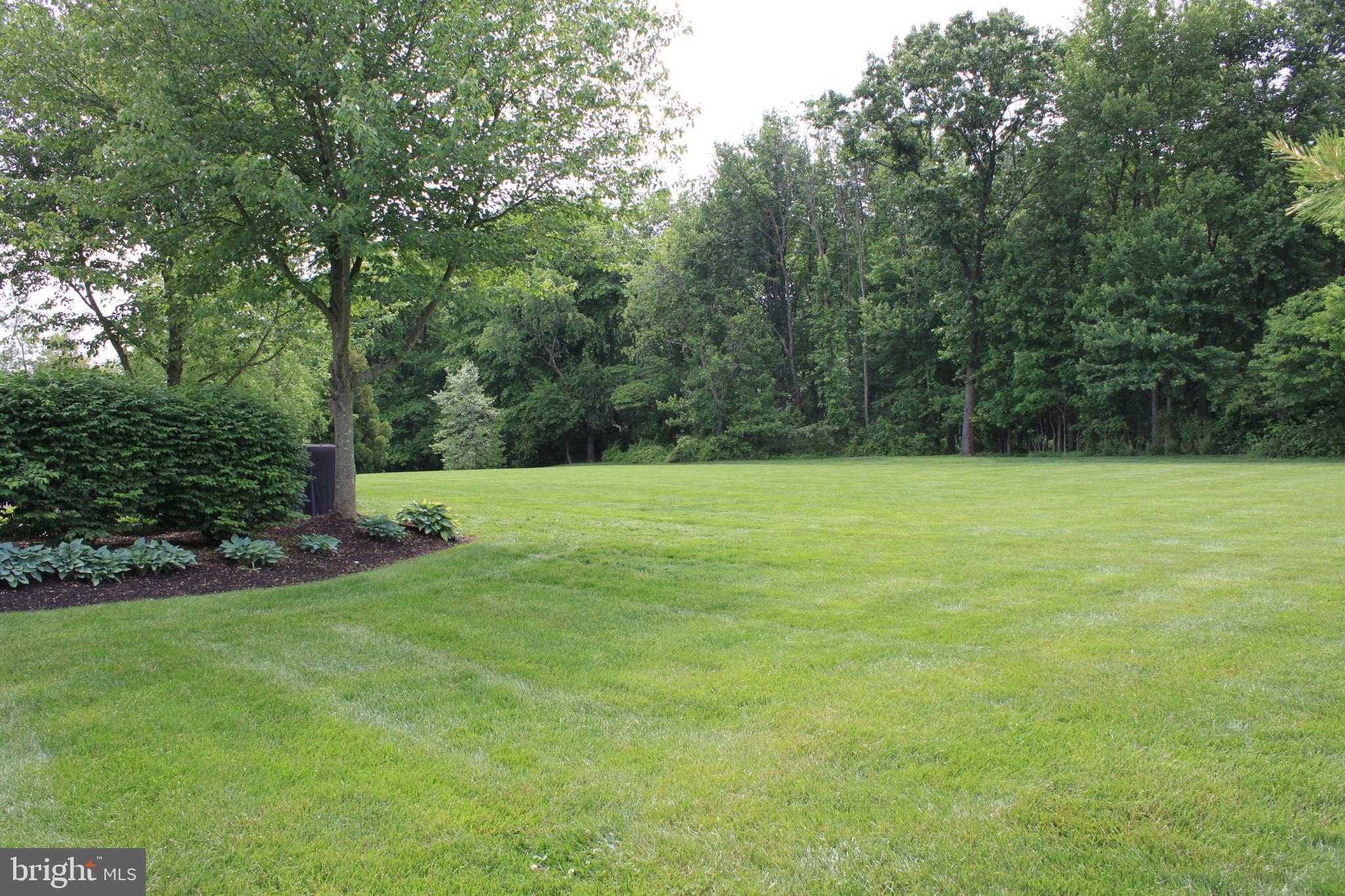 118 Clover Road Ivyland, PA 18974 - Photo 5 of 53 Backyard