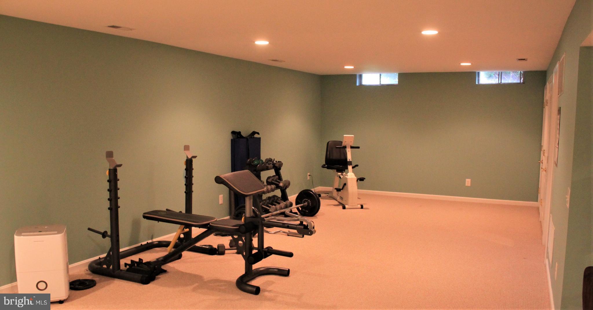118 Clover Road Ivyland, PA 18974 - Photo 43 of 53 Finished Basement