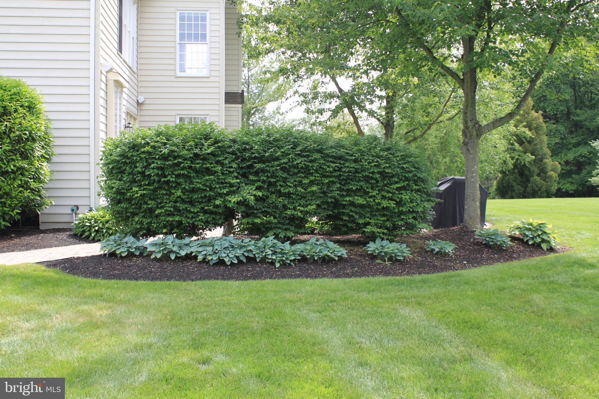 118 Clover Road Ivyland, PA 18974 - Photo 6 of 53 Backyard
