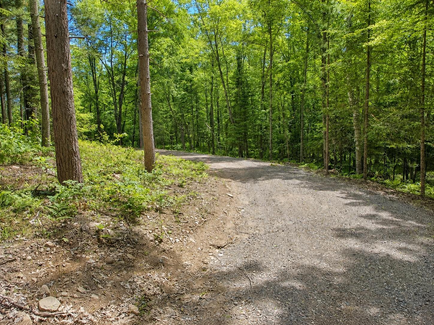 0 Ranch Road Stone Lake, WI 54876 - Photo 3 of 21