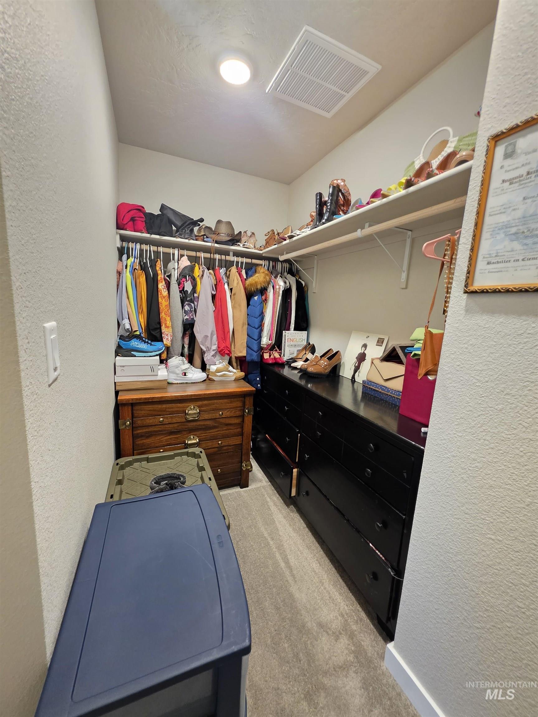 2316 East Spice Loop, Unit 4 Nampa, ID 83687 - Photo 9 of 12 Spacious closet featuring light carpet