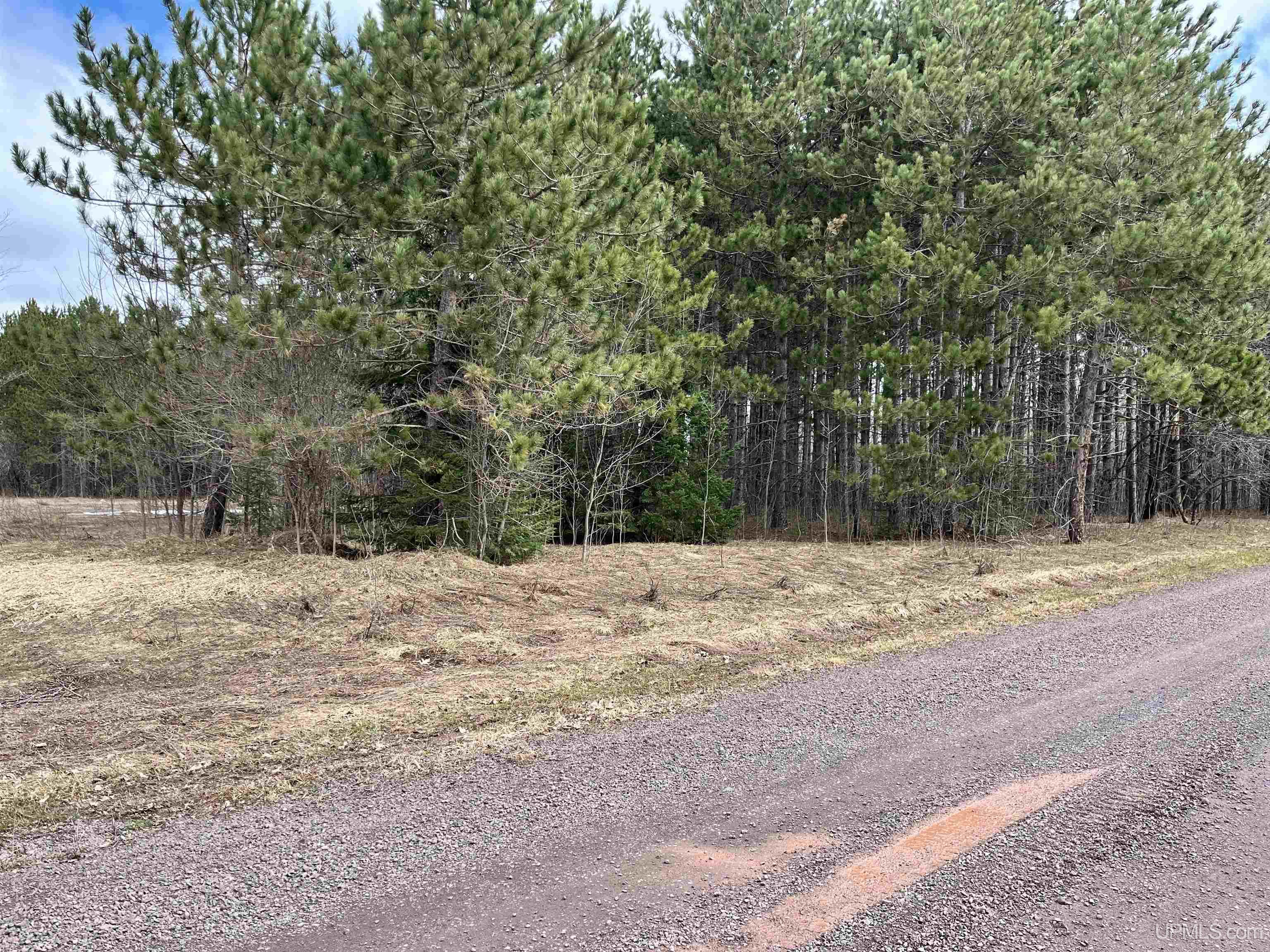 Tbd Tikka Road Ontonagon, MI 49953 - Photo 5 of 9