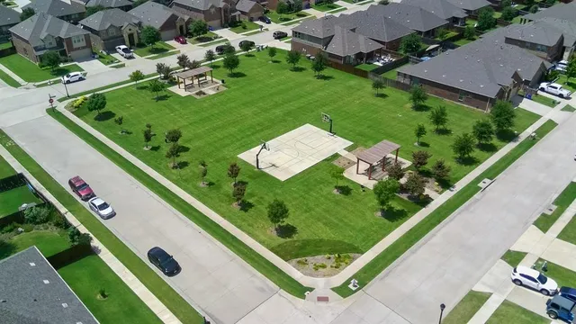 a view of a back yard from a garden