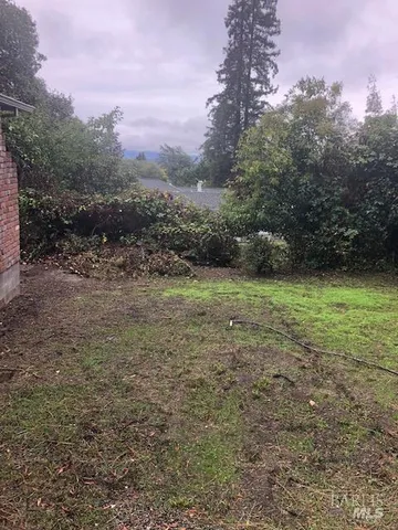 a view of a field with trees in the background