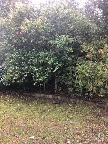 a view of outdoor space and yard