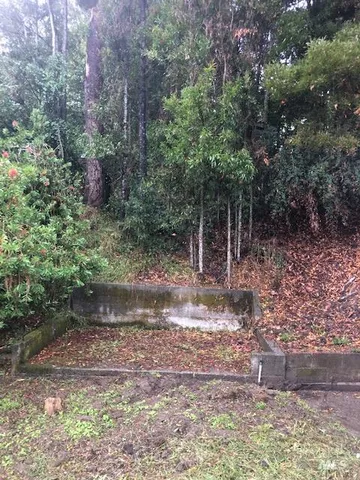 a view of a forest with trees