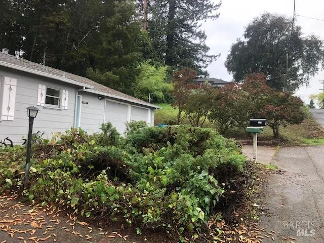 a backyard of a house with a garden and plants