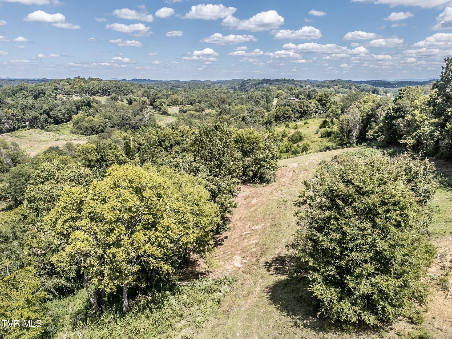 241 East Stage Coach Road Greeneville, TN 37743 - Photo 16 of 67 thumbnail_241StagecoachG_015