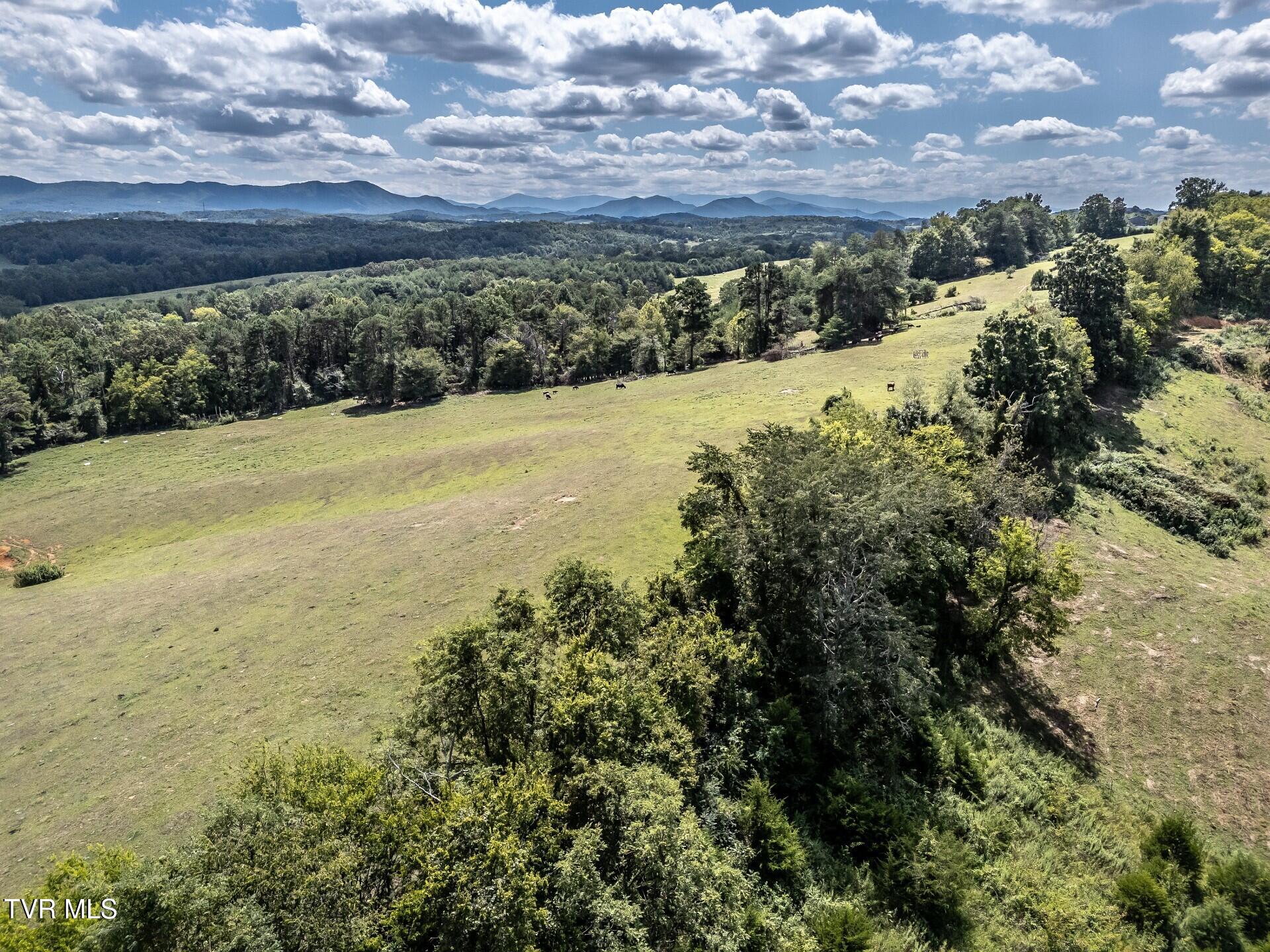 241 East Stage Coach Road Greeneville, TN 37743 - Photo 20 of 67 thumbnail_241StagecoachG_021