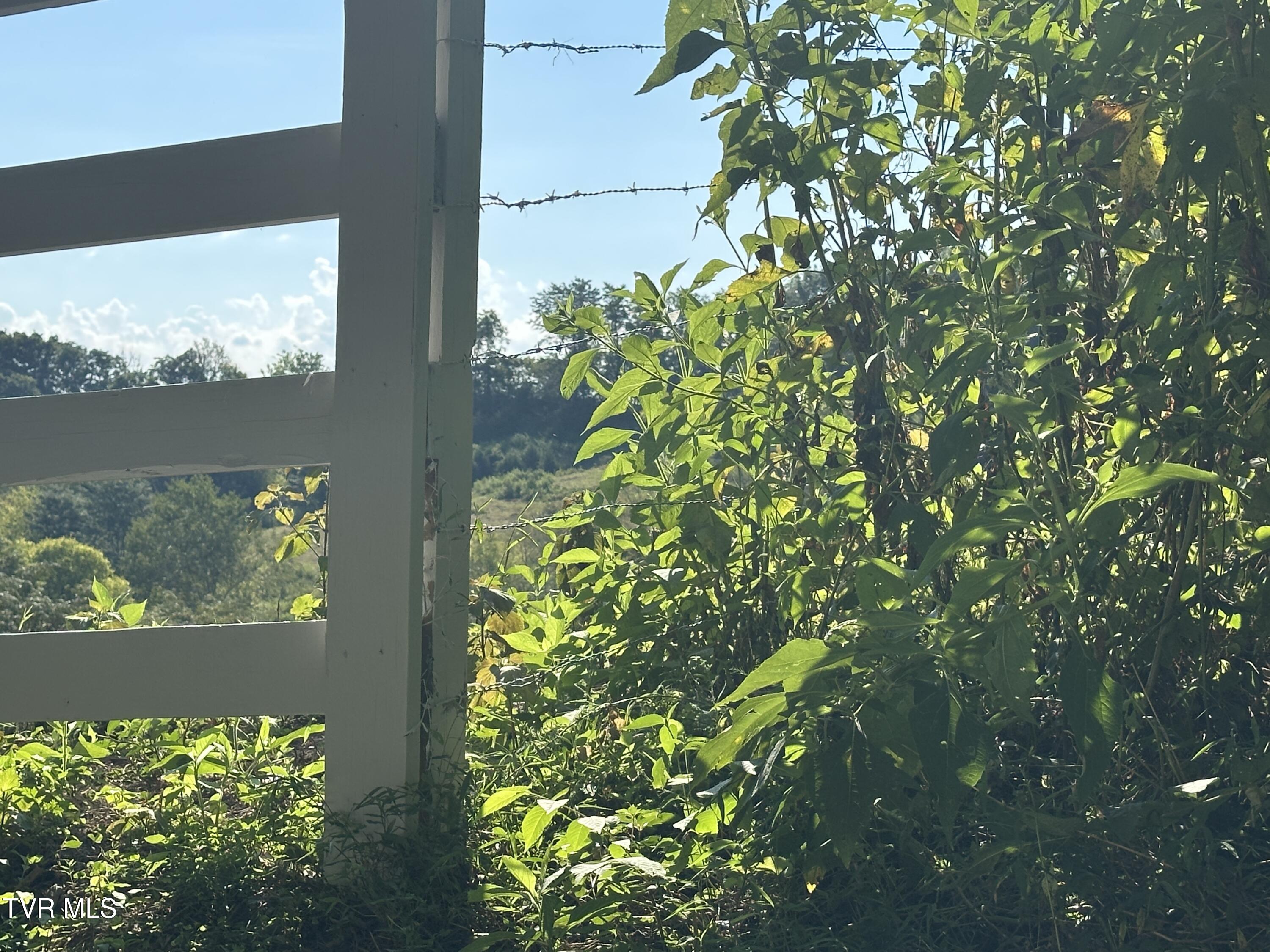 241 East Stage Coach Road Greeneville, TN 37743 - Photo 3 of 67 IMG_9406