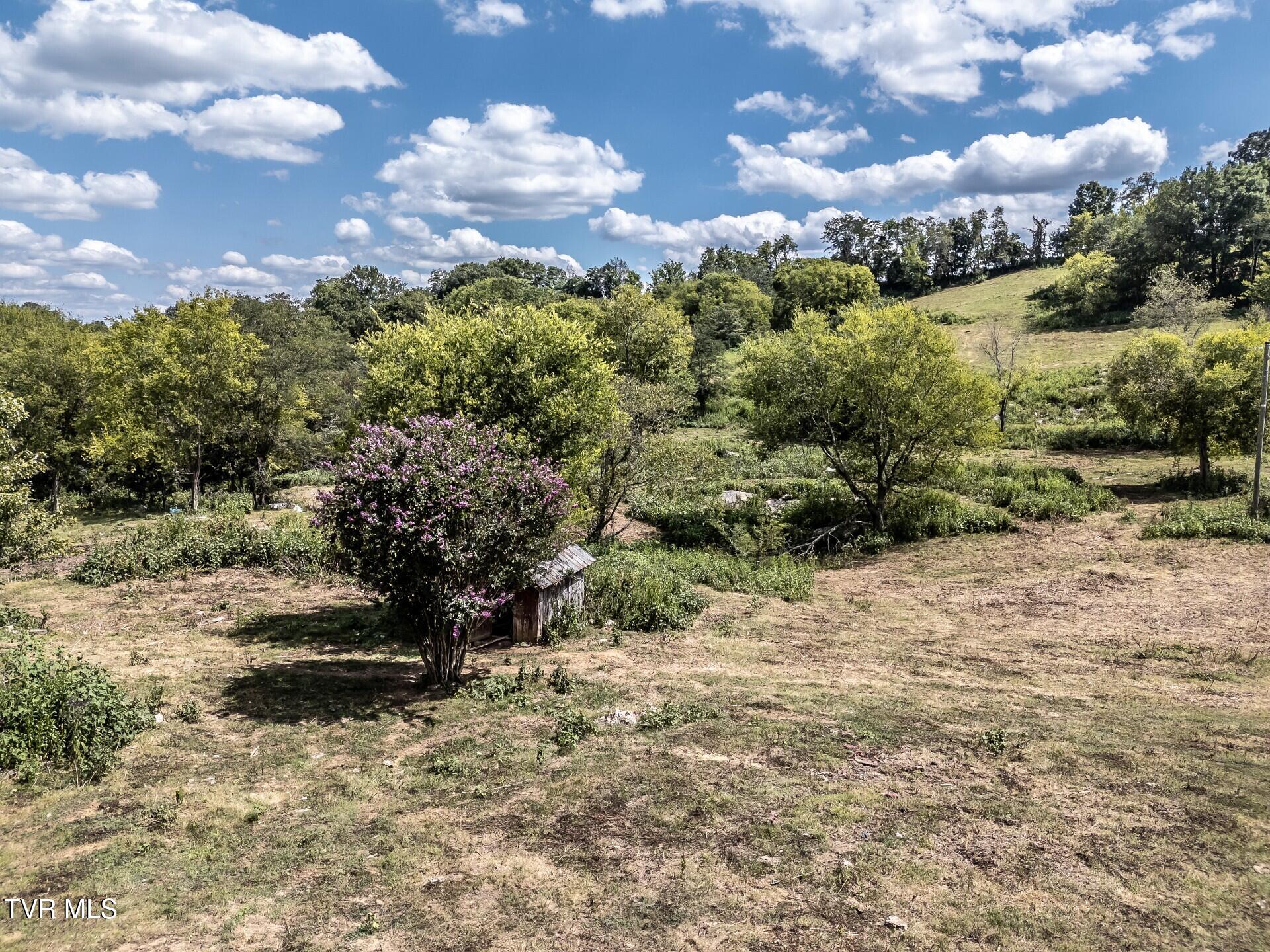 241 East Stage Coach Road Greeneville, TN 37743 - Photo 42 of 67 thumbnail_241StagecoachG_052