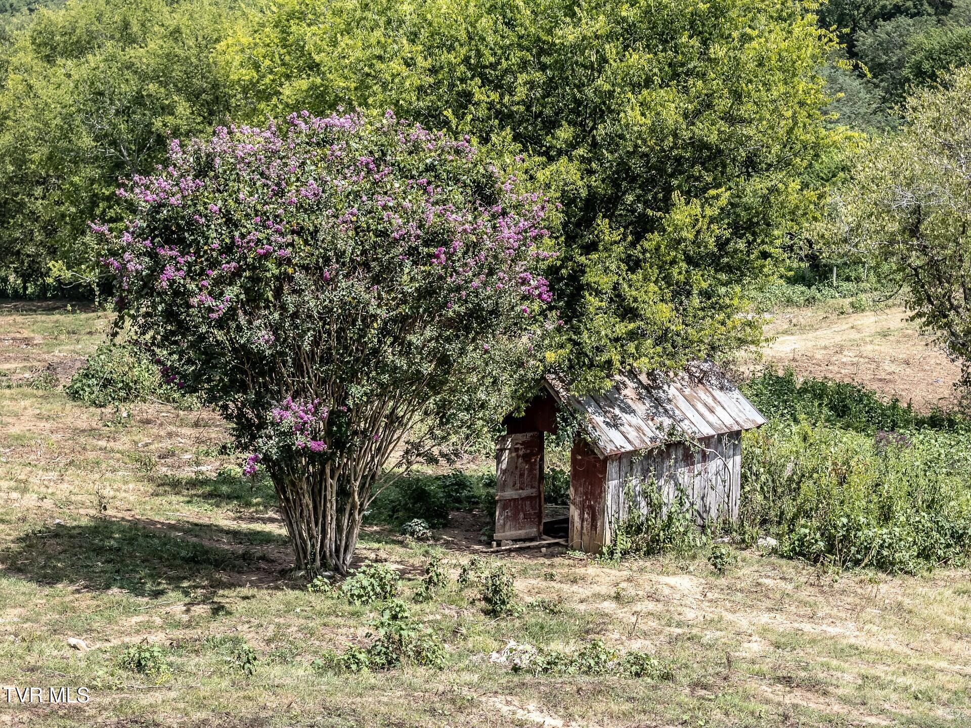 241 East Stage Coach Road Greeneville, TN 37743 - Photo 44 of 67 thumbnail_241StagecoachG_054