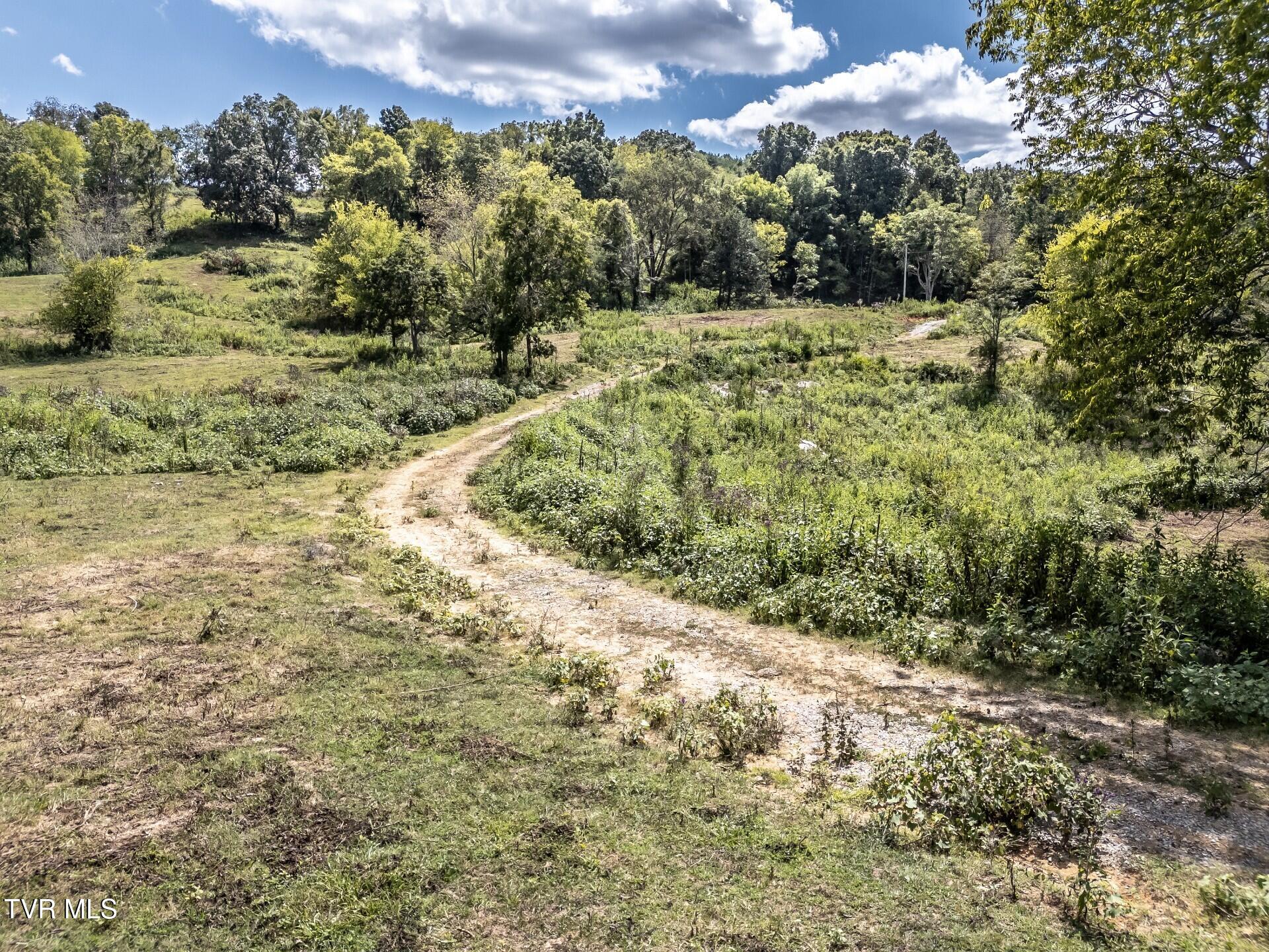 241 East Stage Coach Road Greeneville, TN 37743 - Photo 46 of 67 thumbnail_241StagecoachG_056