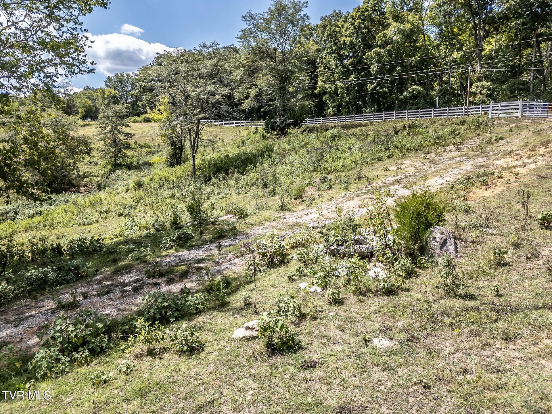 241 East Stage Coach Road Greeneville, TN 37743 - Photo 47 of 67 thumbnail_241StagecoachG_057