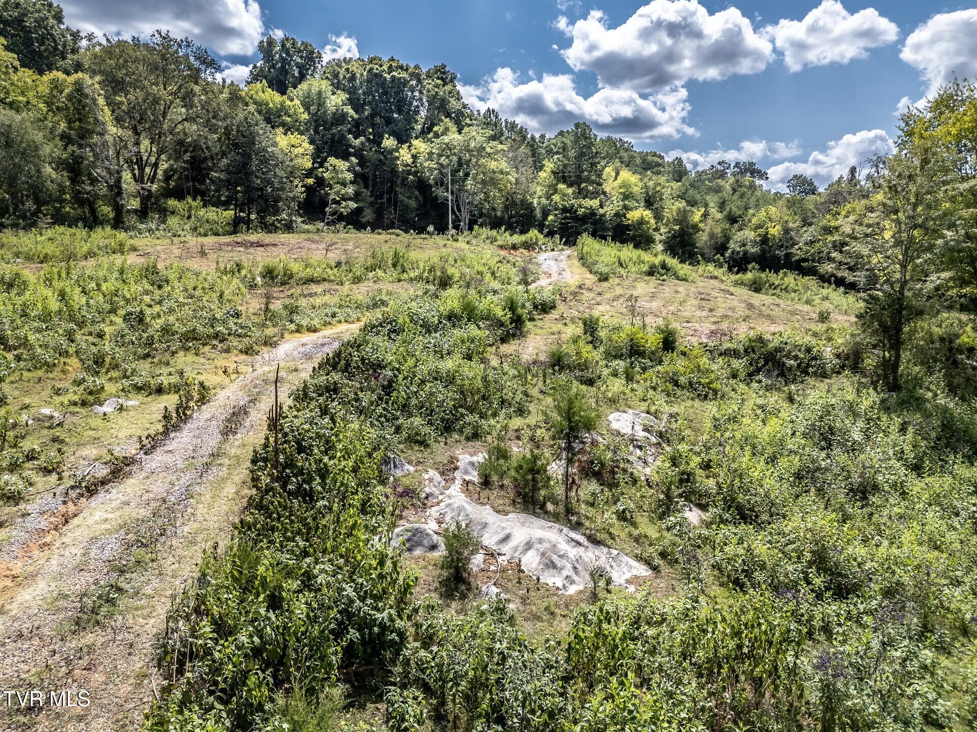 241 East Stage Coach Road Greeneville, TN 37743 - Photo 48 of 67 thumbnail_241StagecoachG_060