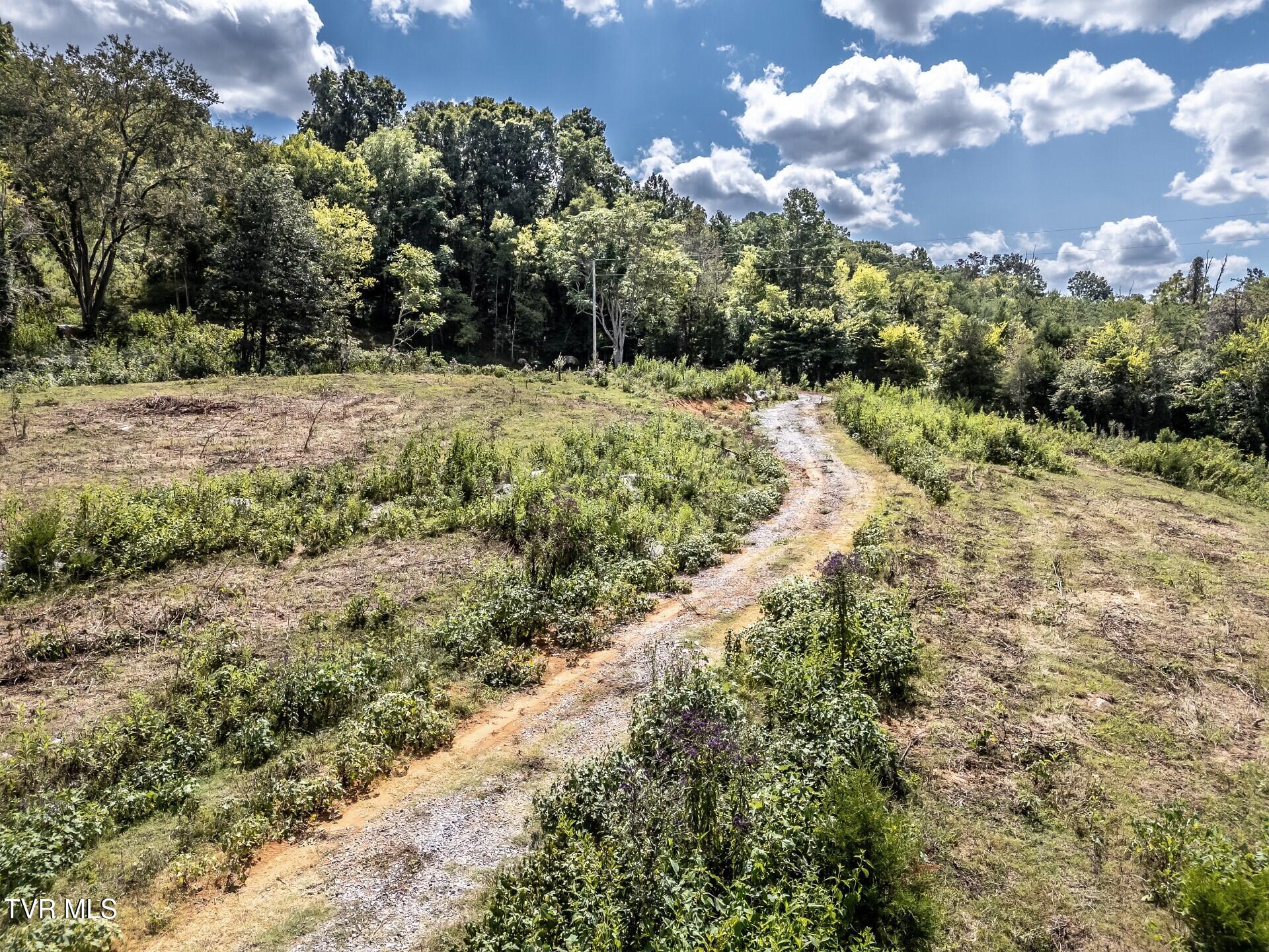 241 East Stage Coach Road Greeneville, TN 37743 - Photo 49 of 67 thumbnail_241StagecoachG_061