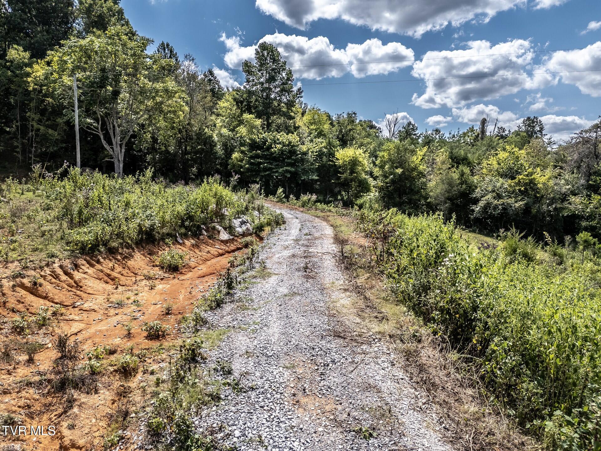 241 East Stage Coach Road Greeneville, TN 37743 - Photo 50 of 67 thumbnail_241StagecoachG_062