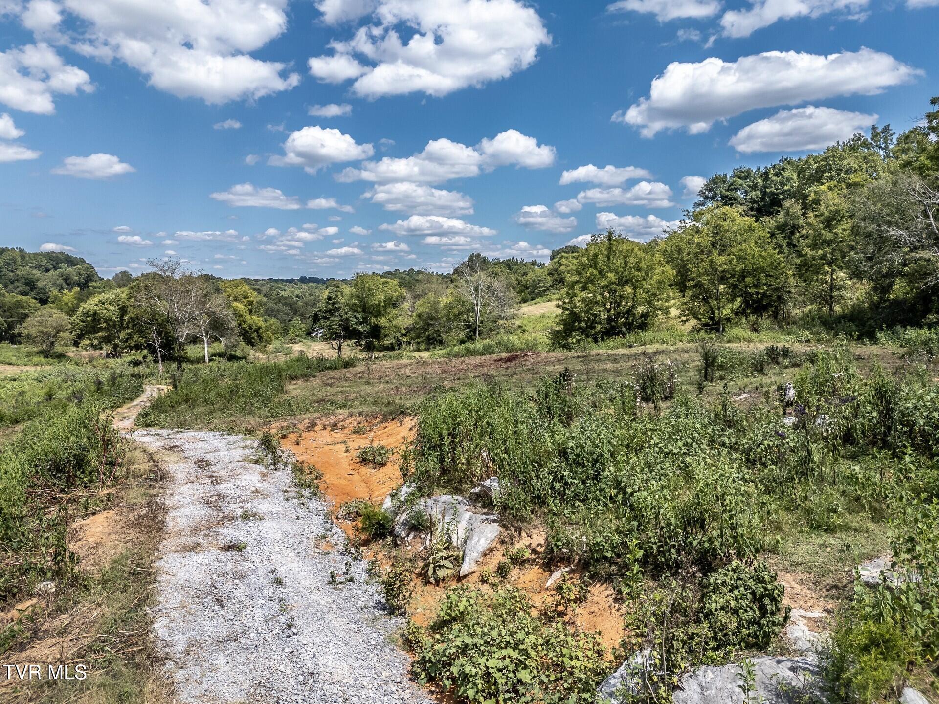 241 East Stage Coach Road Greeneville, TN 37743 - Photo 53 of 67 thumbnail_241StagecoachG_066
